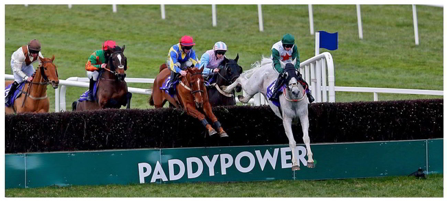 Paddy Power Horse Racing